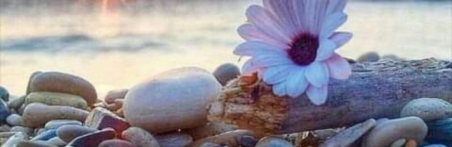 walaa aloosh Cover Image