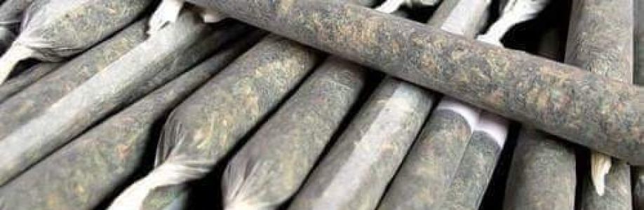 مودي الفارس Cover Image