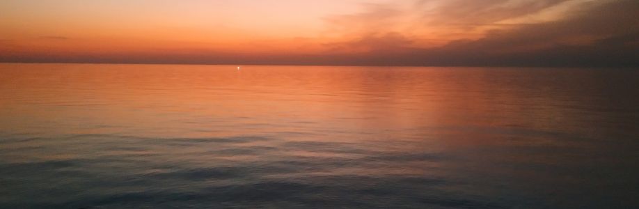 yousef saleh Cover Image