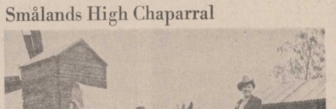 Big Bengt (Sverige) Cover Image